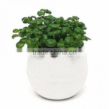 Round White Flower Pot Beautiful Succulent Planter