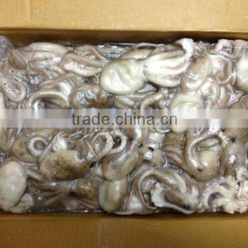 IQF cheap price size 20-60g/pcs Frozen baby octopus.