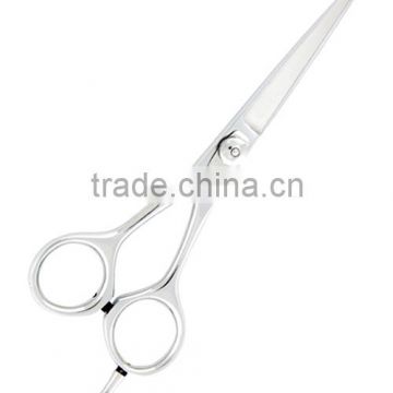 Professional Hair Scissors SM