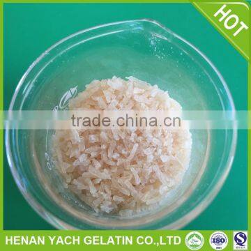Professional jelly brown gelatin for wholesales