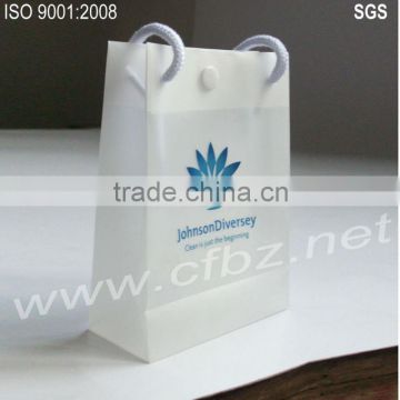 Clear Plastic Eco-friendly Exhibition Promotional Bags