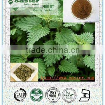 Natural Manfacturer Supply nettle root Minerals