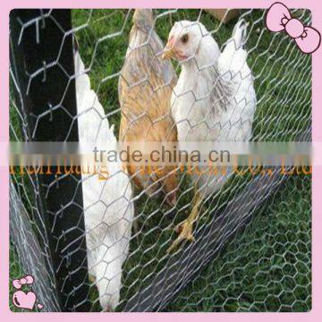 Galvanized hexagonal wire mesh for chickens (PVC COATED OR GALVANIZED)Manufacturer&Exporter-OVER 20 YEARS