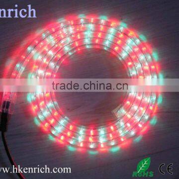 5 Wire Flat Color Changing LED Rope Lighting