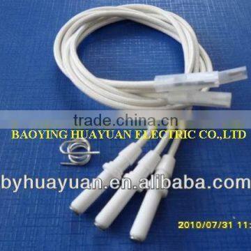 gas ignition ceramics ignition electrode