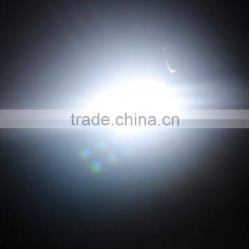 Wholesale 12V Festoon Car LED C5W Bulbs Auto Dome Lights Interior Lamp Canbus 3030 6 SMD Car Accessories photo-4