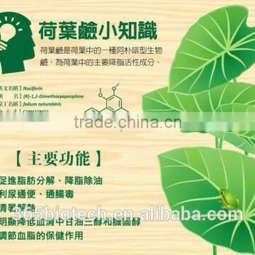 Hot New Products for 2015 Highly Concentrated Herbal Tea photo-3