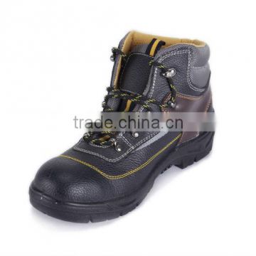 Golden Horse Safety Shoes