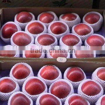 Qinguan apple