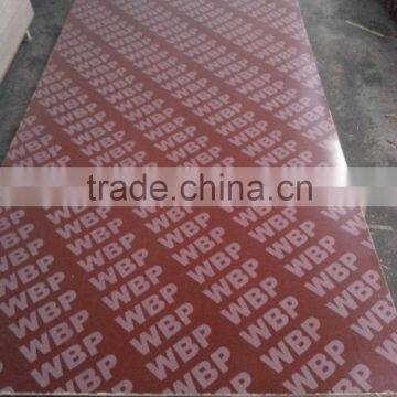 18mm Concrete Formwork Plywood photo-2