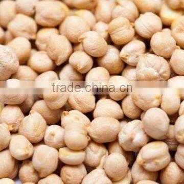 Organic Kabuli Chickpeas