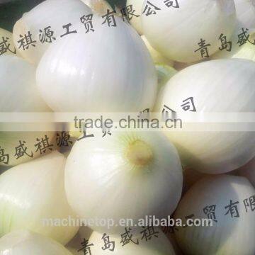 Onion Peeling Top And Tail Cutting Machine photo-4