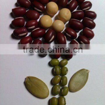 Adzuki Bean, 2010 crop, Heilongjiang Origin.