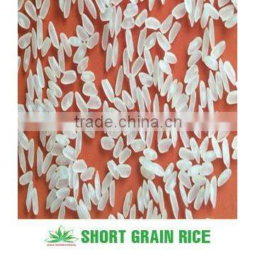 MEDIUM ROUND RICE 5% BROKEN, CROP 2015 +84 946 1 3456 0