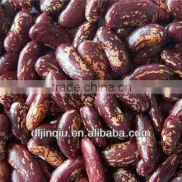 2015 Crop Kidney Bean photo-5