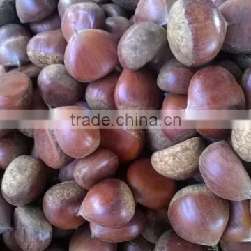 Chinese chesnuts