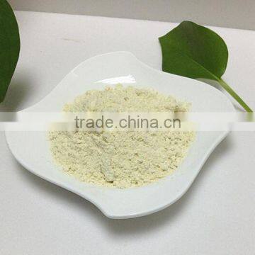 Non Dairy Creamer Powder