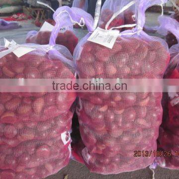 Chinese Chestnuts for Sale 2015 Crop photo-3
