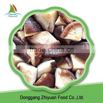 2016 Organic Fresh High Quality Frozen Shiitake Mushroom Spawn