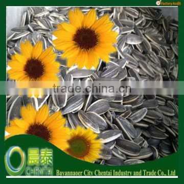 2013 New Crop China Sunflower Seeds In Shell