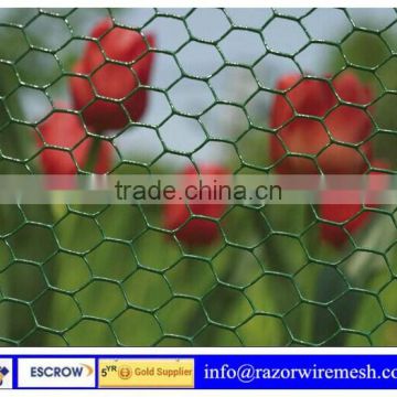 Hexagonal wire mesh/hot dipped galvanized hexagonal wire mesh/hexagonal decorative chicken wire mesh