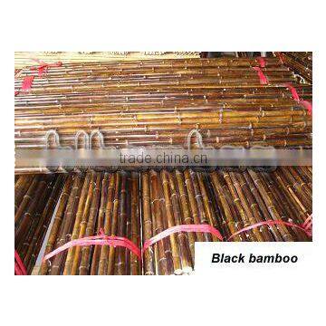 Natural Black Bamboo Pole 3/4" (HL-BLBP1)