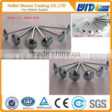 High quality cheap roofing nail low price roofing nail roofing nail (CHINA SUPPLIER)