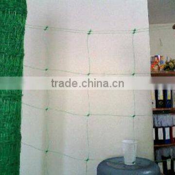 PP+UV Vegetable Trellis Net/Plant Support Net/Vegetable climbing Net