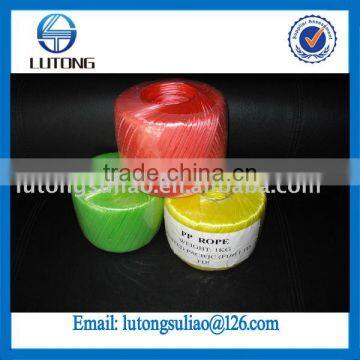 Colored PP String