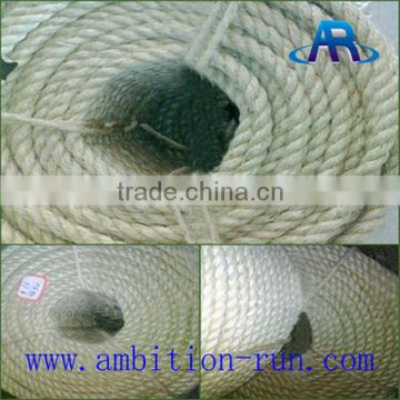 Pet sisal rope