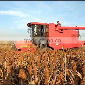 Reliable 4YL-5 grain harvester with overseas service