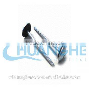 Square Head Corrugated Roofing Nails photo-6