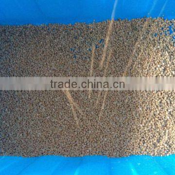 Food Grade Wax Pastillator photo-5