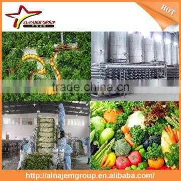 Hot Hot Full Automatic Industrial Vegetable Cutting Machine Vegetable Tomato Carrots Machine Production Line photo-6