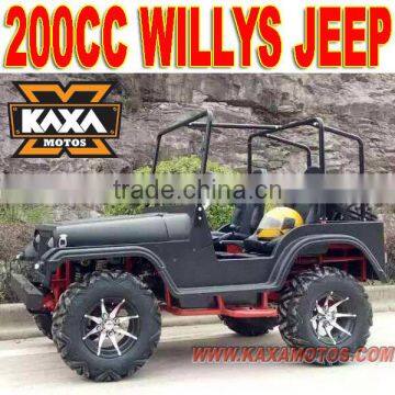 Adults Mini Jeep 250cc