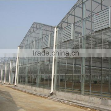 Factory outlet large Multi-span glass agricultural-commercial Greenhouses