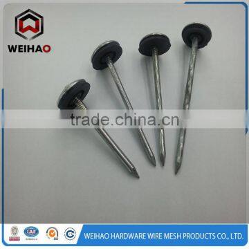 Polished Galvanized Zinc Plated Umbrella Head ROOFING NAIL