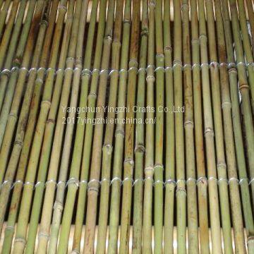 Bamboo Fence/bamboo Sticks/bamboo Poles photo-4