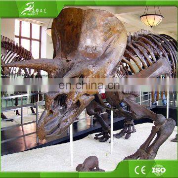 KAWAH Life Size Museum Exhibition Fiberglass 5M Dinosaur Skeleton Fossils