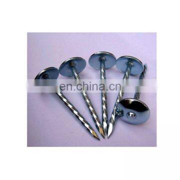 Q195 Galvanized Umbrella Head Roofing Nails With Smooth Shank