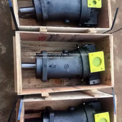 Rexroth A2fo 5 10 12 28 45 56 63 80 90 125 160 180 225 250 350 500 750 1000 Hydraulic Pump Motor