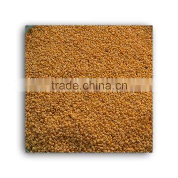 Lucao 6FZ-B Stainless Steel Moong Dal Peeling Machiney With Price photo-5