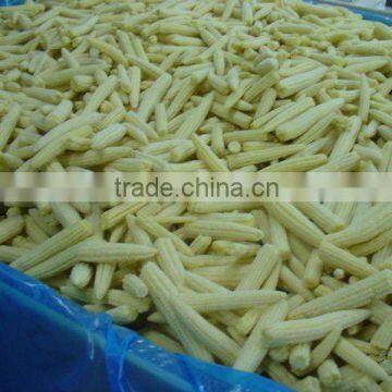 fresh IQF baby corn whole