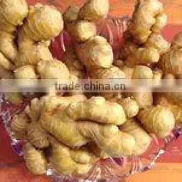 Chinese fresh yellow ginger