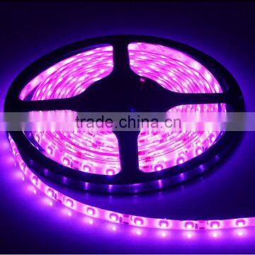 5050 Nonwaterproof IP20 White 60LED UL Certificate Led Strip CE ROHS photo-5