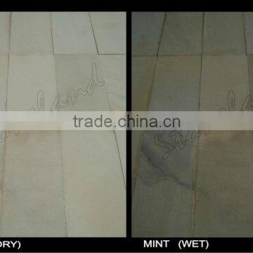 Mint Natural Sandstone photo-2