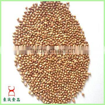 organic roasted buckwheat kernels