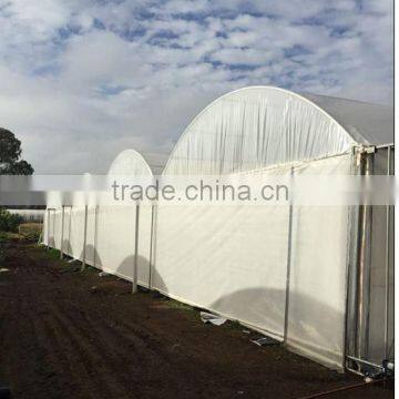 Europe 200 micro yellow color plastic film sheet cover for grape vineyard and greenhouse                        
                                                Quality Choice