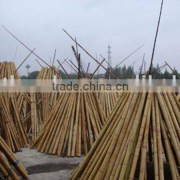 Bamboo pole Sun-009