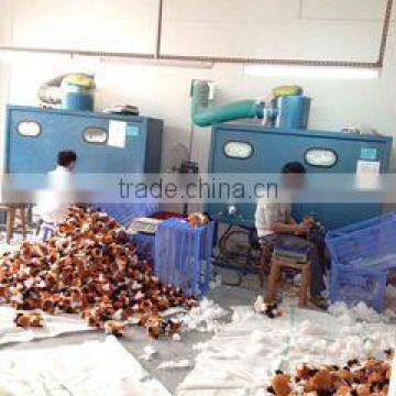Dongguan Yuequan Toys Co., Ltd.